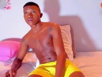Hans21cm webcams show profile image 
