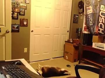 indianapapa from Chaturbate