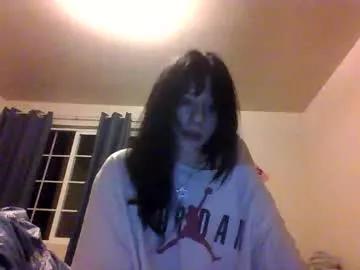 Laneystone webcams show profile image 