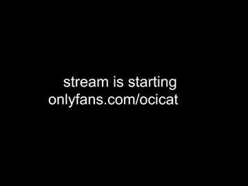 Ocicat webcams show profile image 