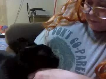 petmykitty from Chaturbate is Freechat