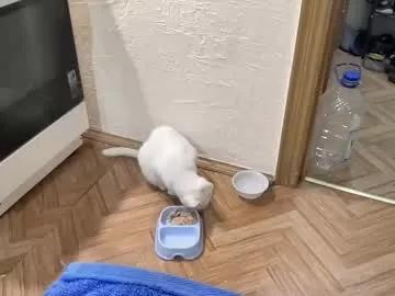 rosea_champagne from Chaturbate is Freechat