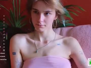 soft_animal from Chaturbate is Freechat