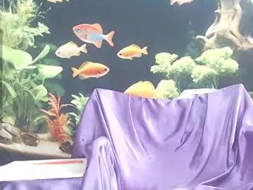 thewildechase from Chaturbate is Freechat