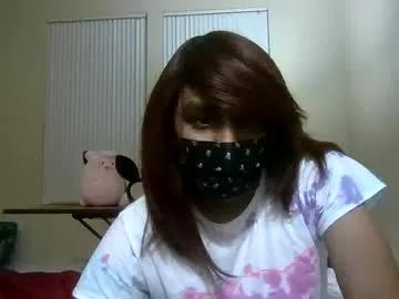 twinkyteddy from Chaturbate is Freechat
