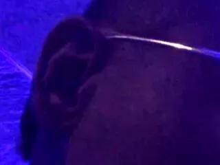 allan_barreto from Flirt4Free