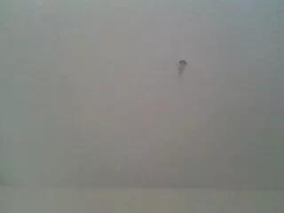 Compton_cali webcams show profile image 