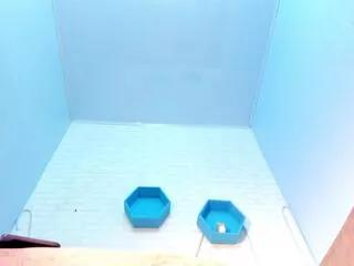 ivyy_bliss from Flirt4Free