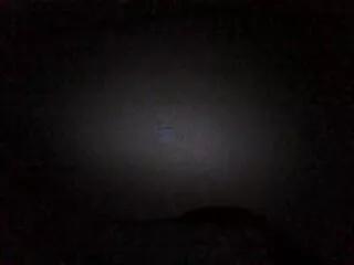 willa_vance from Flirt4Free