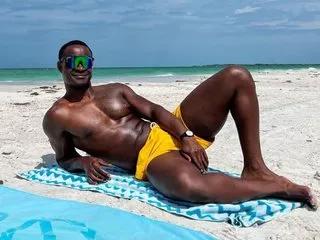 LavanderBrown webcams show profile image 