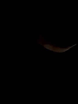 AiBanana from StripChat is Freechat