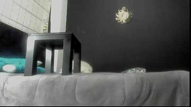 amareto_queen from StripChat