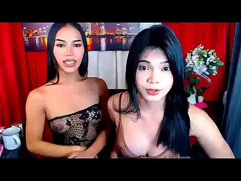 Explore our live girls sluts from our Custom and Multi clubs and checkout exclusive access to highly interactive content, such as shape, hair, titties, pussy type and many more.