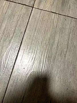 Ana_Your_Type from StripChat is Freechat