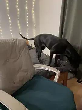 AnnyBelleX from StripChat