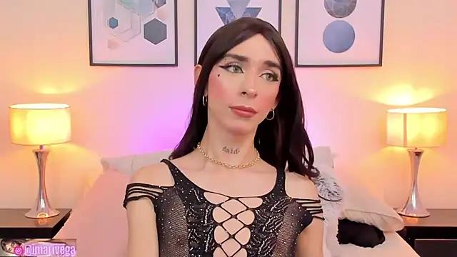 ariivega from StripChat