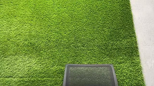 AshlyJoy from StripChat is Freechat