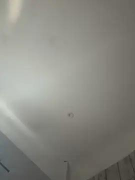 BBW_GoddessK from StripChat