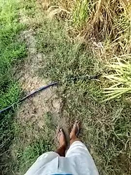 breejs from StripChat