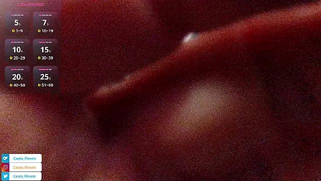 Cassia_Stars from StripChat