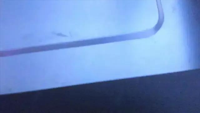 Dana__Whitttte from StripChat