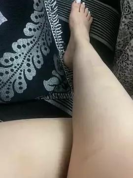 DINA-FOX webcams show profile image 