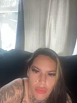 Explore our live girls sluts from our Custom and Multi clubs and checkout exclusive access to highly interactive content, such as shape, hair, titties, pussy type and many more.