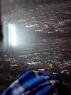 Dolphiinn webcams show profile image 