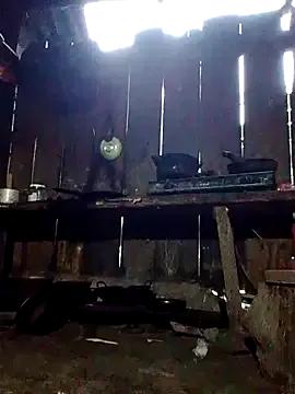 donna-bae from StripChat