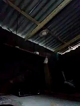 donna-bae from StripChat