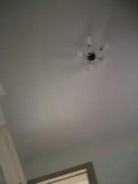 Holly_Molii from StripChat