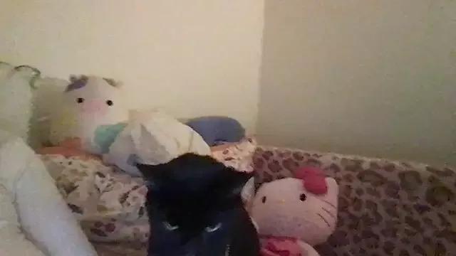 HYPHYtype webcams show profile image 