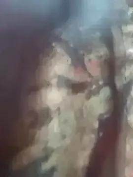 Jaanuteluguammaii webcams show profile image 