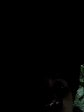 jasss-11 from StripChat