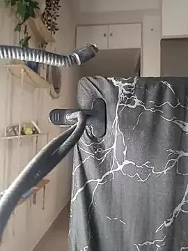Kashis2 webcams show profile image 