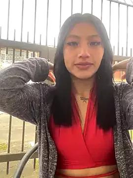Explore our live girls sluts from our Custom and Multi clubs and checkout exclusive access to highly interactive content, such as shape, hair, titties, pussy type and many more.