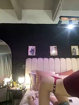 Explore our live girls sluts from our Custom and Multi clubs and checkout exclusive access to highly interactive content, such as shape, hair, titties, pussy type and many more.