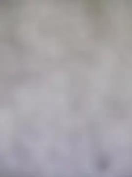 little_susie from StripChat
