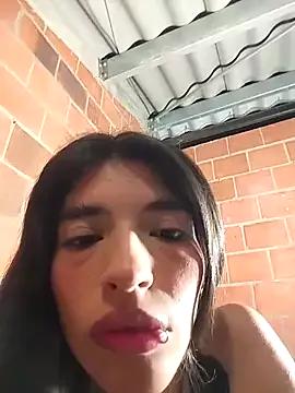 Explore our live girls sluts from our Custom and Multi clubs and checkout exclusive access to highly interactive content, such as shape, hair, titties, pussy type and many more.
