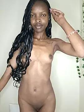 Nedambale webcams show profile image 