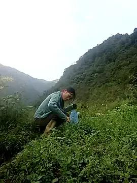 ngan-cute from StripChat