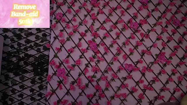 Explore our live girls sluts from our Custom and Multi clubs and checkout exclusive access to highly interactive content, such as shape, hair, titties, pussy type and many more.