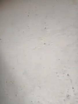 Pooja_cut from StripChat