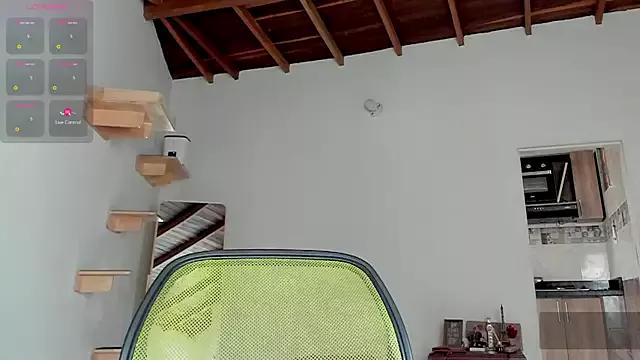 Rainbow_leia from StripChat is Freechat