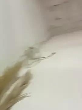 salo-rousee from StripChat is Freechat