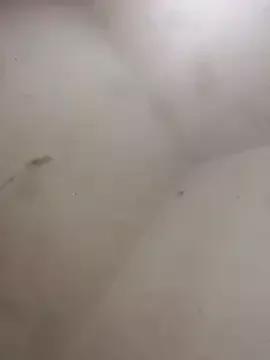 sandramarian from StripChat is Freechat
