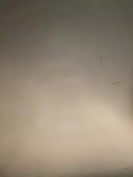 sasatimido from StripChat