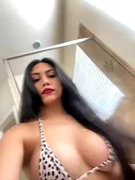 shaarebaare from StripChat