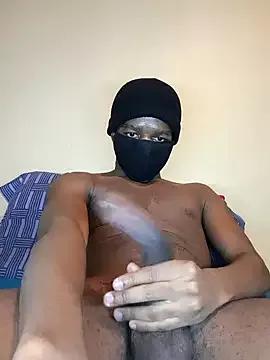 Shy_Strok3r webcams show profile image 