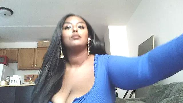 SiminFox webcams show profile image 